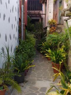 La Solana House | Cho Almeida