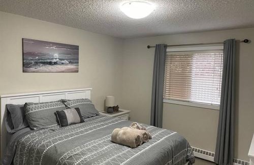 North Central Edmonton Apartment | Chris Cozy Condo Commonwealth #107 Edmonton