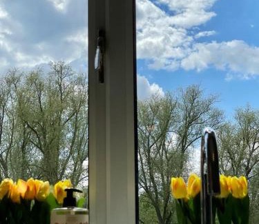 Bolton Percy House | Church View