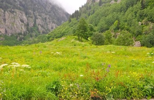 Camlihemsin House | cicekli pansiyon camping