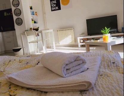 Centar Apartment | City Center White Apartment!