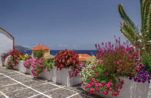 Brena Baja Apartment | Classic Apartment with side view