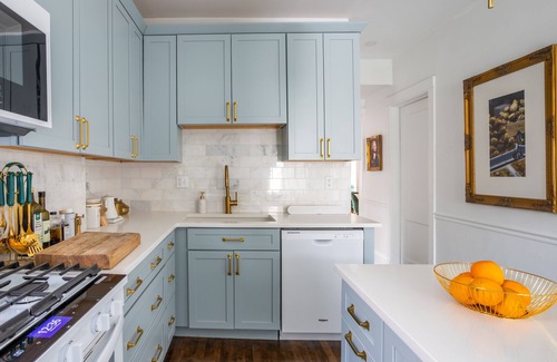 Andersonville House | Classic Chicago 2 Flat transformed into a Parisian plant lovers paradise