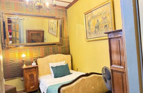 Cluj-Napoca City Centre Apartment | Classic Love Story in Old Cluj I