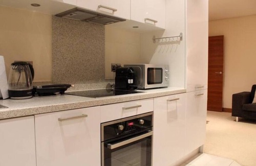 Queenstown Apartment | Classy-Lux Battersea Park Chelsea Bridge Apartment