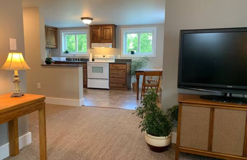 Alexandria Apartment | Clean and Cozy 1 bedroom Apartment