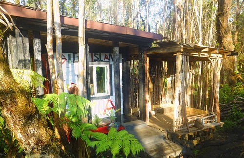 Fern Forest House | Clean Off-Grid Art Lovers Rainforest Hideaway!