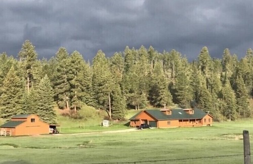 Hill City House | Close to Deerfield Lake,Hiking,UTV,Gameroom,Hot tub,Mini Donkey,Goats & Chickens