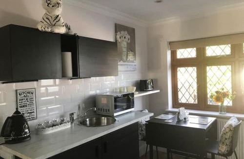 Bumble's Green Apartment | Clovelly