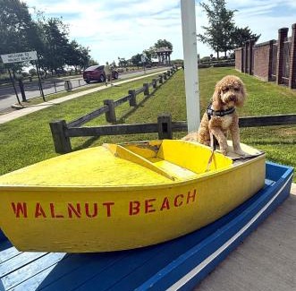 Devon House | coastal and cozy beach stay, pet friendly