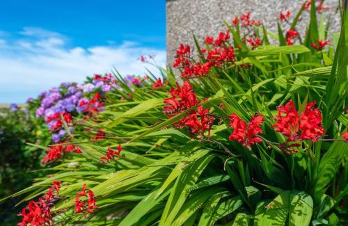 St Ishmaels House | Coastal Bungalow Near Marloes with Log Burner and Garden