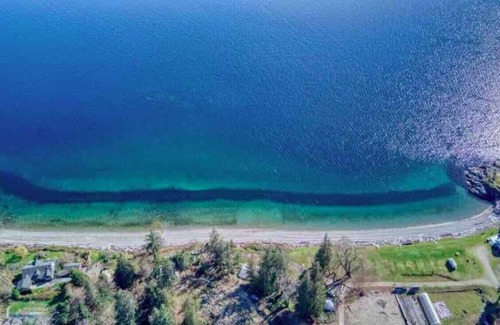 Powell River Cottage | Coastal Tranquility Cottage