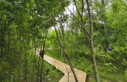 Gruiu Other | Coco Glamping & Retreat
