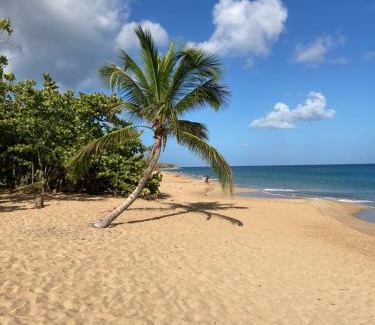 Bas Vent Apartment | Coco-Mango Apt B