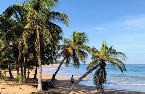 Bas Vent Apartment | Coco-Mango Apt B