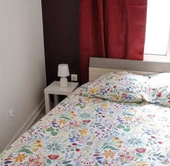 Saint-Rambert Apartment | Cocon rénové proche île barbe