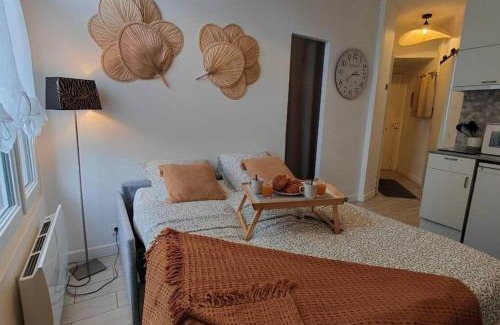 Vaires-sur-Marne Apartment | Cocoon urbain : Aux portes des JO et de Disney