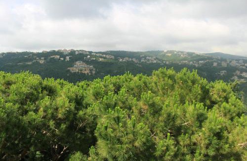 Duhur ash Shuwayr Hotel | Colibri Hotel