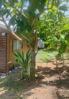 Duzer House | Colibris