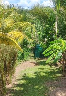 Duzer House | Colibris