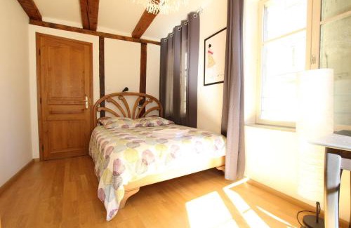 Colmar Centre Ville Apartment | Colmar Historic Center - Alsacian Appartement PETITE VENISE 1 - BookingAlsace