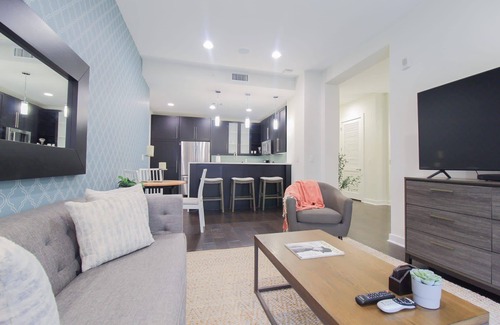 Downtown Houston Apartment | Comfort at the Star I 2 Bed Apt in Houston