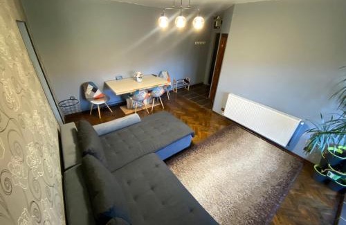 Petrosani Apartment | Comfort Home Apartment 2