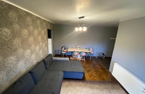 Petrosani Apartment | Comfort Home Apartment 2