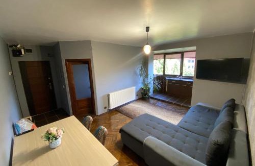 Petrosani Apartment | Comfort Home Apartment 2