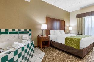 Skyland Hotel | Comfort Inn Asheville Airport