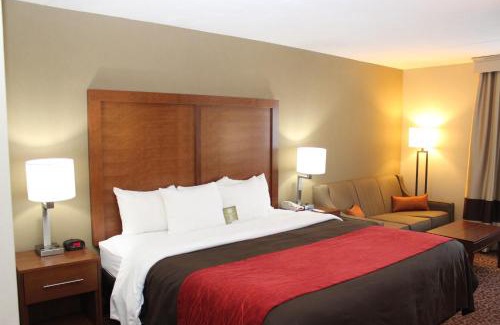 Bangor Hotel | Comfort Inn Bangor North