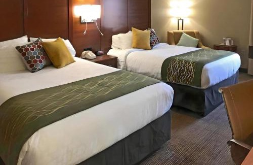 Erie Hotel | Comfort Inn, Erie - Near Presque Isle
