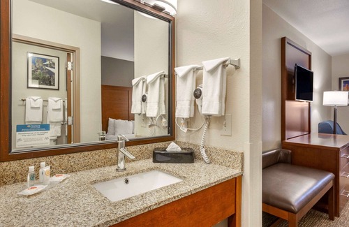 Woodlands Village Hotel | Comfort Inn Flagstaff South I-17