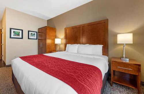 La Porte Hotel | Comfort Inn La Porte