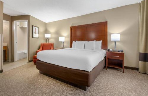 Downtown Memphis Hotel | Comfort Inn Memphis Downtown
