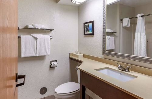Okemos Hotel | Comfort Inn Okemos - East Lansing