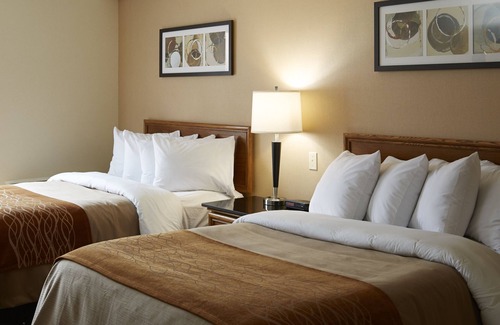 Rimouski-Neigette Hotel | Comfort Inn Rimouski