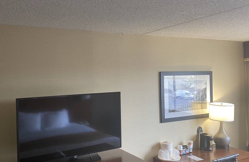 Springfield Hotel | Comfort Inn - Springfield
