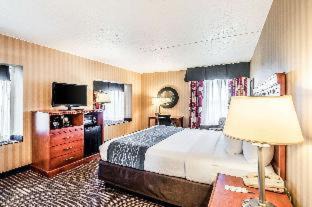 Alexandria Hotel | Comfort Inn & Suites Alexandria West