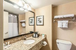 Alexandria Hotel | Comfort Inn & Suites Alexandria West