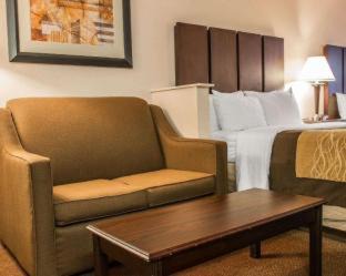 Fenton Hotel | Comfort Inn & Suites Fenton