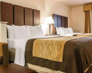 Fenton Hotel | Comfort Inn & Suites Fenton