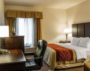 Fenton Hotel | Comfort Inn & Suites Fenton