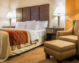 Fenton Hotel | Comfort Inn & Suites Fenton
