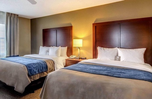 Grafton Hotel | Comfort Inn & Suites Grafton - Cedarburg