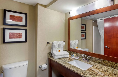 LaGrange Hotel | Comfort Inn & Suites LaGrange East