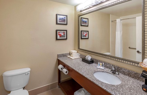 Lincoln Hotel | Comfort Inn & Suites Lincoln Talladega I-20
