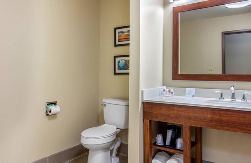 McComb Hotel | Comfort Inn & Suites McComb