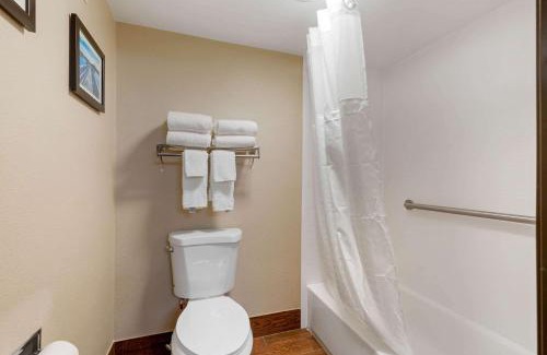 Milford Hotel | Comfort Inn & Suites Milford