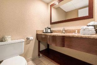 South Central Omaha Hotel | Comfort Inn & Suites Omaha Central
